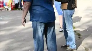 кобель юниор