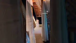 #nilufarhamidova