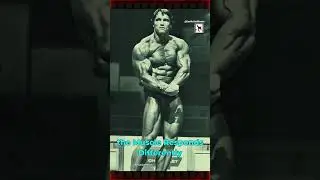 Arnold Schwarzenegger SUPERSET Workout #arnoldschwarzenegger