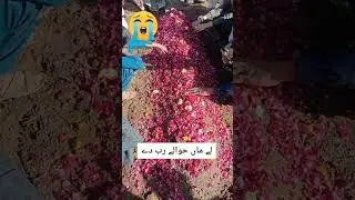my mother passed away on 6 #ramzanmubarak 17 march 2024