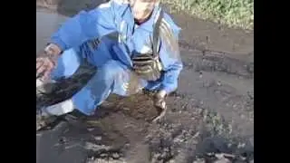 Егорка ехал домой и решил покупаться в грязи.