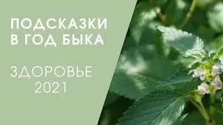 ПОДСКАЗКИ В ГОД БЫКА: ЗДОРОВЬЕ 2021