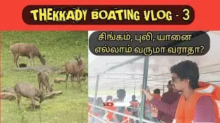 #Kerala #Thekkady #Boating In Periyar National Park Vlog Part - 3 | புலியும் யானையும் வருமா வராதா!?