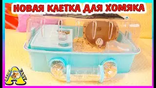 Новая КЛЕТКА для ХОМЯКА TRIOL / ПОДАРОК хомяку Куки к Новому году / Алиса Изи Петс / Alisa Easy Pets