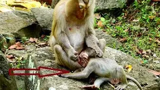terrify !!! Baby break-heart cos Terreza,Jane & mum fight,Why they angry baby like this? Very pity