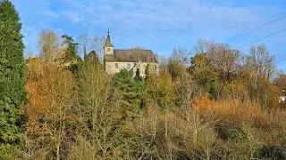 Balade à Arbre - Profondeville