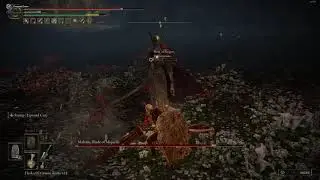 Elden Ring with Awful internet be like