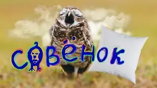 Сказка про Совёнка 6 часть! Сказки на ночь для хорошего сна.