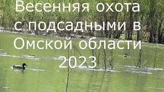 Весенняя охота с подсадными в Омской области 2023