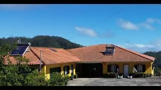 Eco pig farm in Madeira