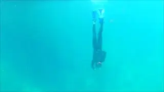 Freediving Vortex Springs - May 2021