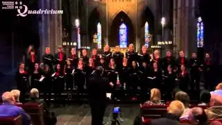 Ubi Caritas - Quadrivium / Vokollage