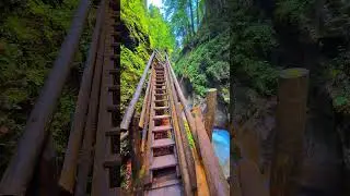 Weekend Travel Destinations #travel #trending #weekend #austria #nature