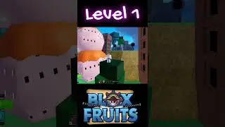 Can You Find The Devil Fruit Part 4