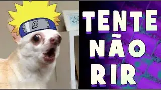 Tente não rir  - NÍVEL SUPREMO - SE VOCÊ RIR JÁ SABE, Reinicie o vídeo 2020