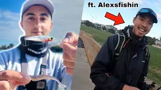 Hard Bodies vs Soft Plastics!? ft. Alexsfishin