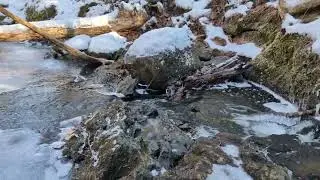Field Notes Friday: Icy Brook at Lyme Hill Conservation Area