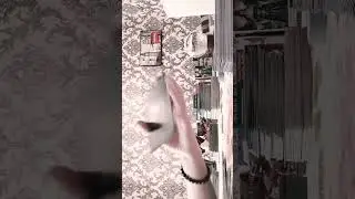 СРОЧНОЕ ПОСЛАНИЕ ОТ ВЫСШИХ СИЛ ?#рек #тародня #целитель #таросудьбы #тароонлайн #тарогадание #таро