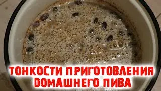 Домашнее пиво из хлеба Из домашних дрожжей Простой рецепт Секреты приготовления
