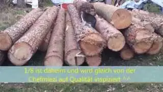 Holzsaison 2014/15 Forstwirtschaft u. Brennholz machen Holzmachen - Massey Ferguson 155 im Wald