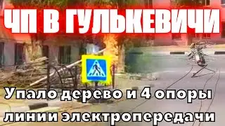 ЧП в Гулькевичи сегодня упало дерево и 4 опоры линии электропередачи на проезжую часть
