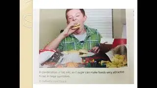 nutrition education 2