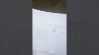 В Новосибирске МЧС косят траву ножницами