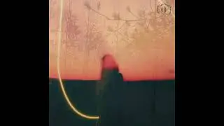 SMYAH - Feral Dub