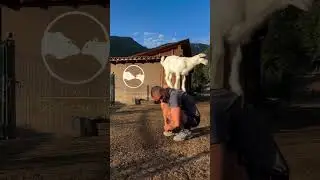 Los hay que nacen artistas