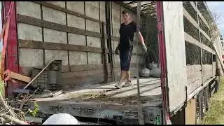 авант 220 загрузка саженцев в евро фуру май 2023