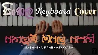 නෙලුම් මලේ පෙති කඩලා Nelum Male Keyboard Cover| Sashmika Prabhashwara
