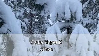 📚Стихи о вечном. Саша Черный.