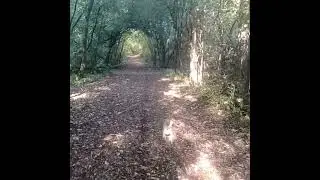 Cooper says can you see me?