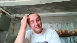 без заголовка. 9 августа 2024 г.