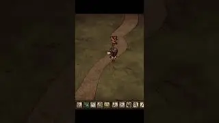 Новый друг 