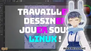 Pellichi, une artiste pas comme les autres – L'open source au quotidien – Un Moment GEEK #12