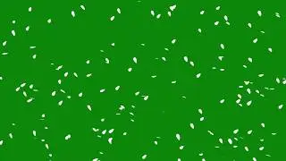 Background green screen Animation leafs or leaves Falling Effect