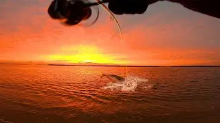 Shore jigging for yellowtail kingfish off the beach | Fishing Australia
