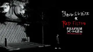 Fujifilm X-H2s: Black & White × Red Filter