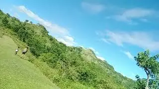 Calmness of Nature