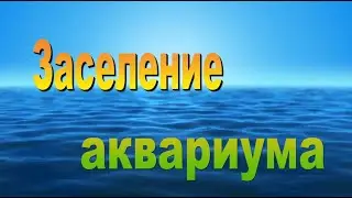 Заселение аквариума