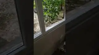 установка окна,выпало окно