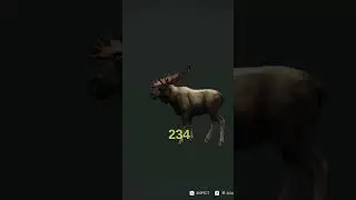 MEANEST MOOSE in MEDVED!!! 😳🙄🥲- Call of the Wild 