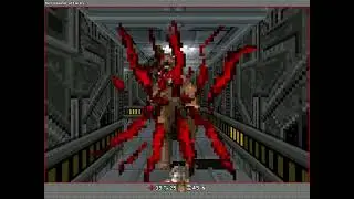 Mehmet igra Doom RPG Stage 1