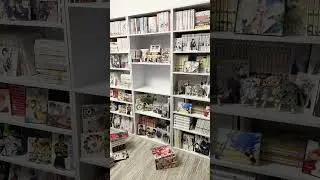 Organizing My Manga Collection | Adding A Third Bookcase!! 