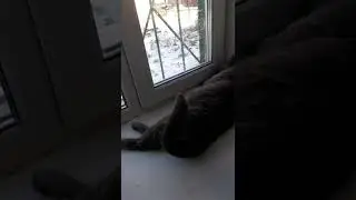 На улице мороз.shorts