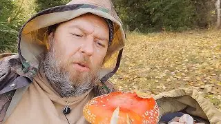 Мухоморы. Как я ходил в лес?