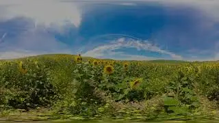 Travel to Ireland & Spain In VR!