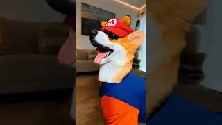 La Máscara Mágica 🐶