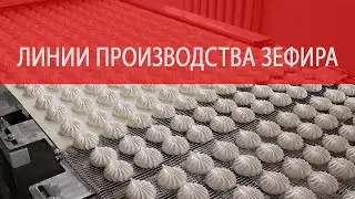 Поточная линия производства зефира